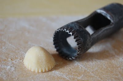 anolini: 7. obrázek